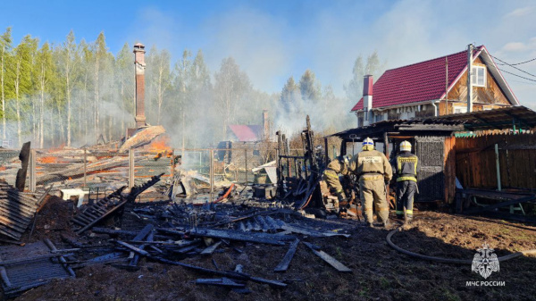 Пожарные спасли дачи костромичей от огня