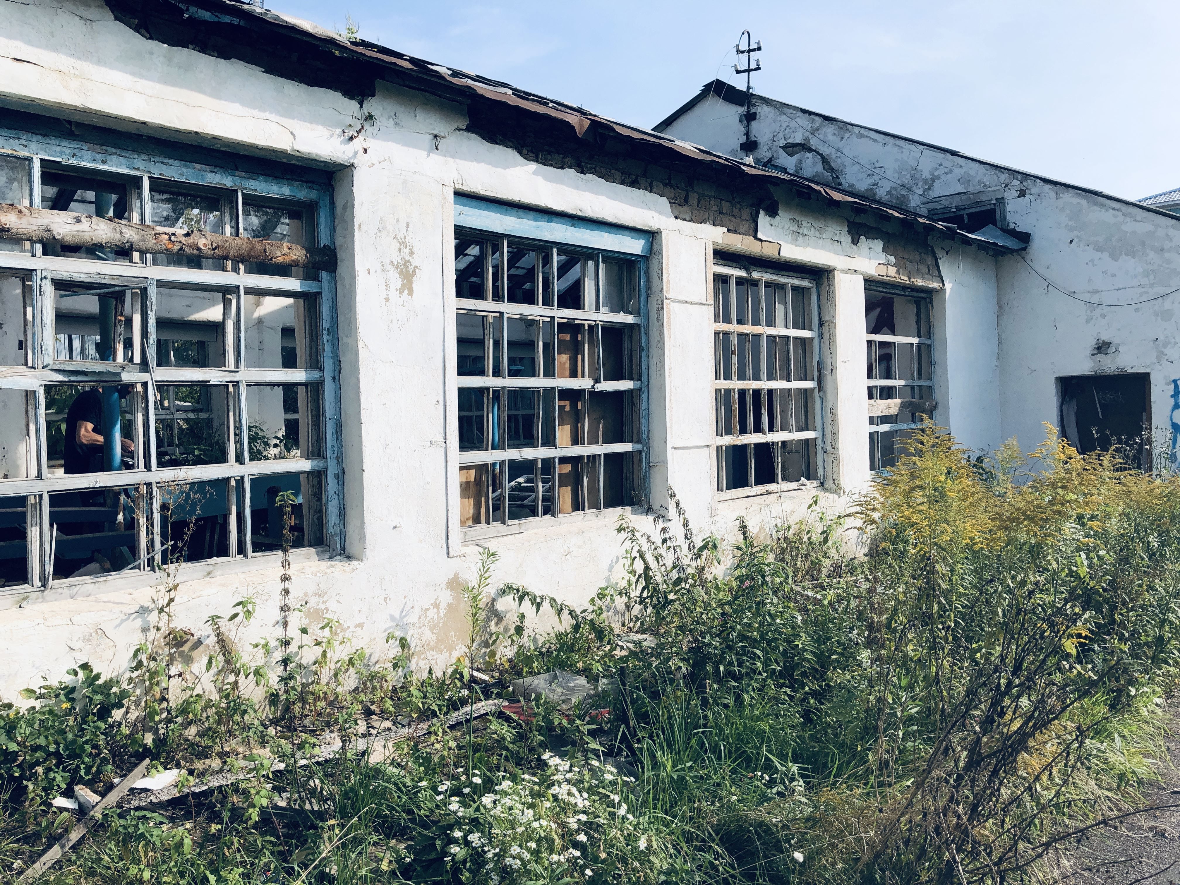В Костроме объявлен конкурс на реконструкцию руин городской станции юннатов