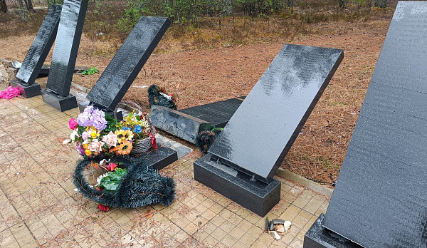 Полицейские поймали вандала, разрушившего мемориал воинам ВОВ в костромском райцентре