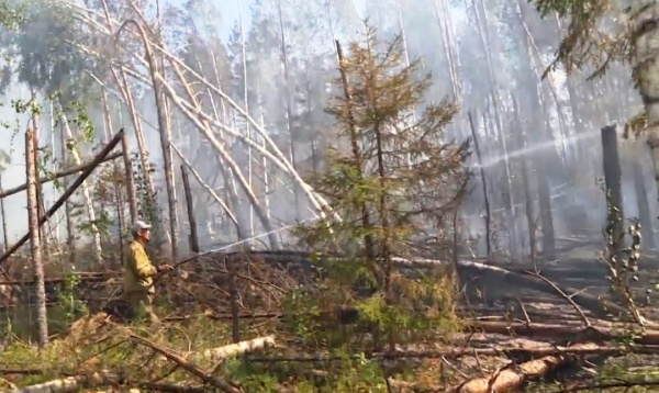 Тушить лесной пожар в Парфеньевском районе мешают поваленные деревья