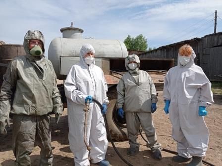 Новый очаг африканской чумы свиней обнаружили в Костромском районе