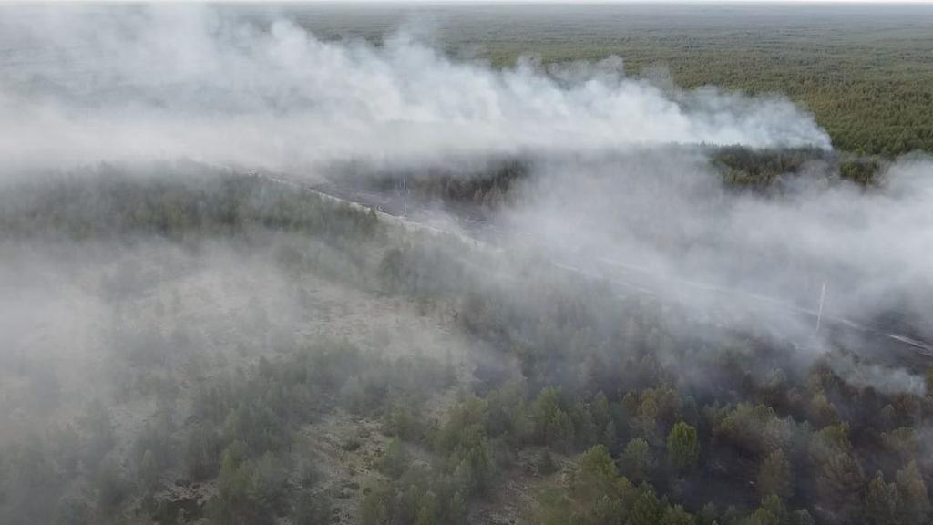 За неделю в Костромской области случились четыре лесных пожара