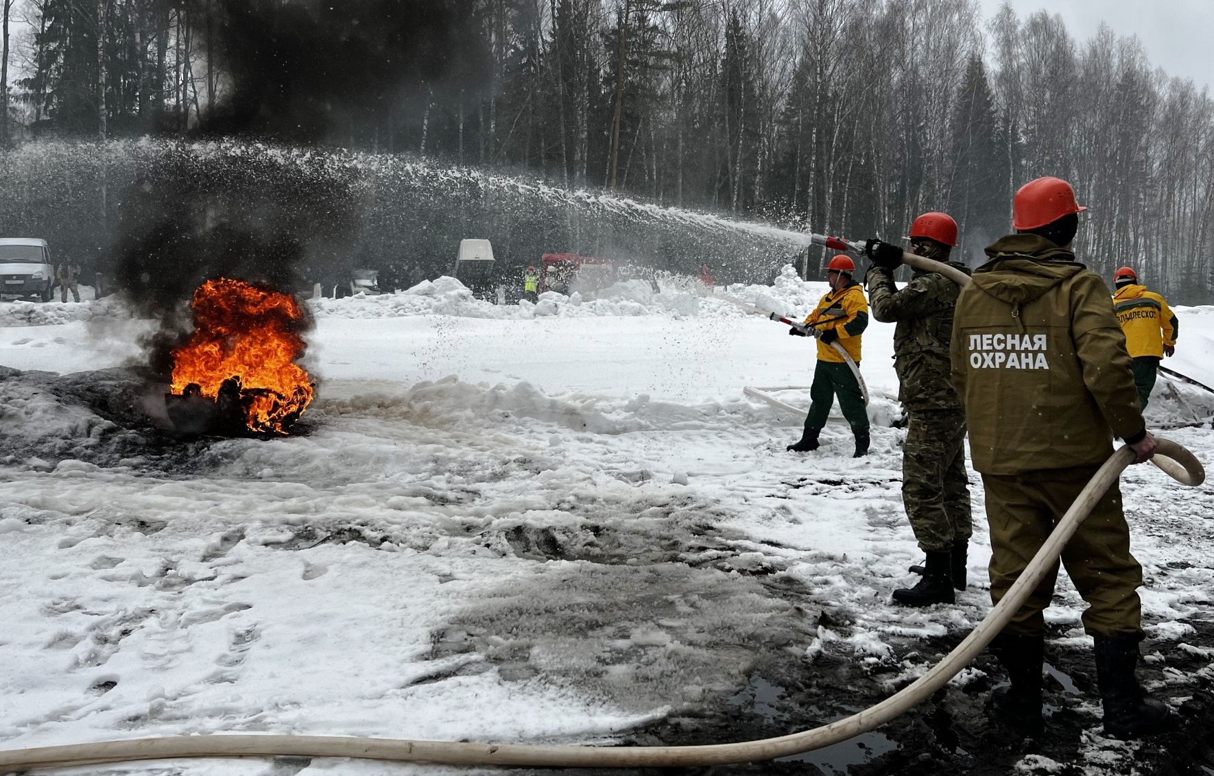 Лесопожарные службы Костромы провели тренировку с соседями