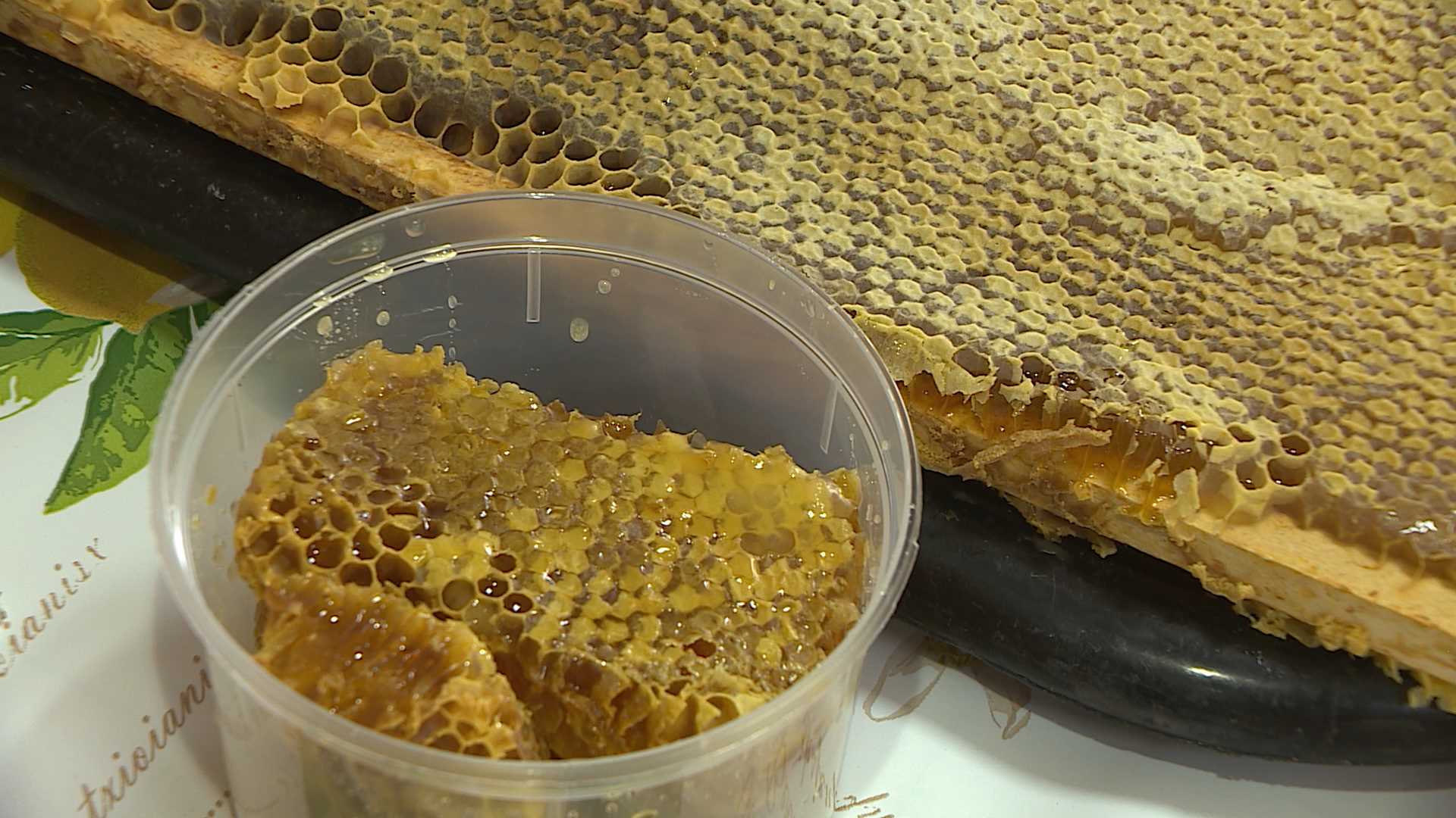 В Кострому слетятся пчеловоды с Алтая и Дальнего Востока
