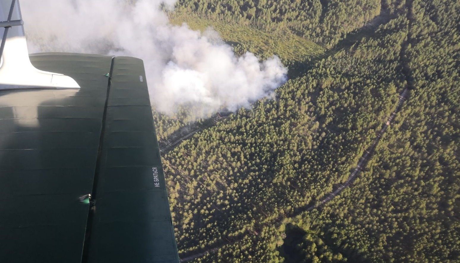 В небе над костромскими лесами начинают авиапатрулирование