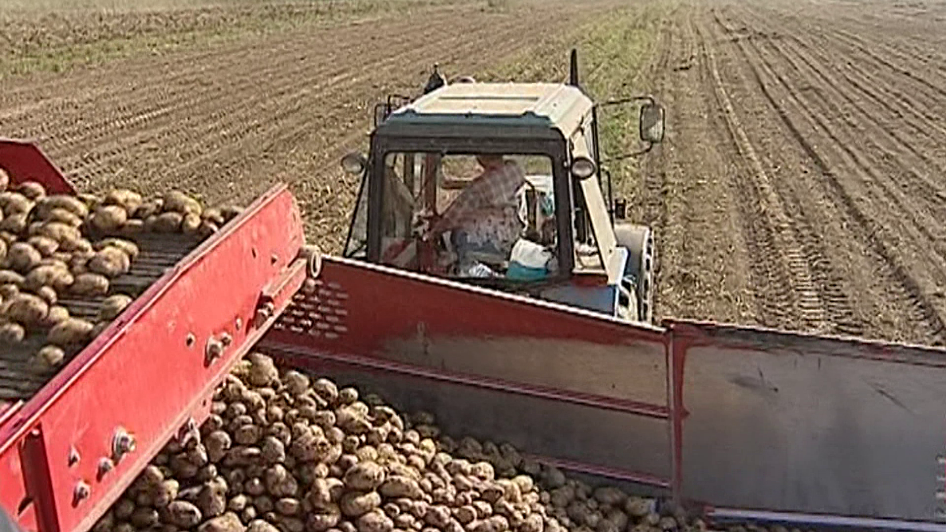 Костромского губернатора встревожили темпы уборки урожая
