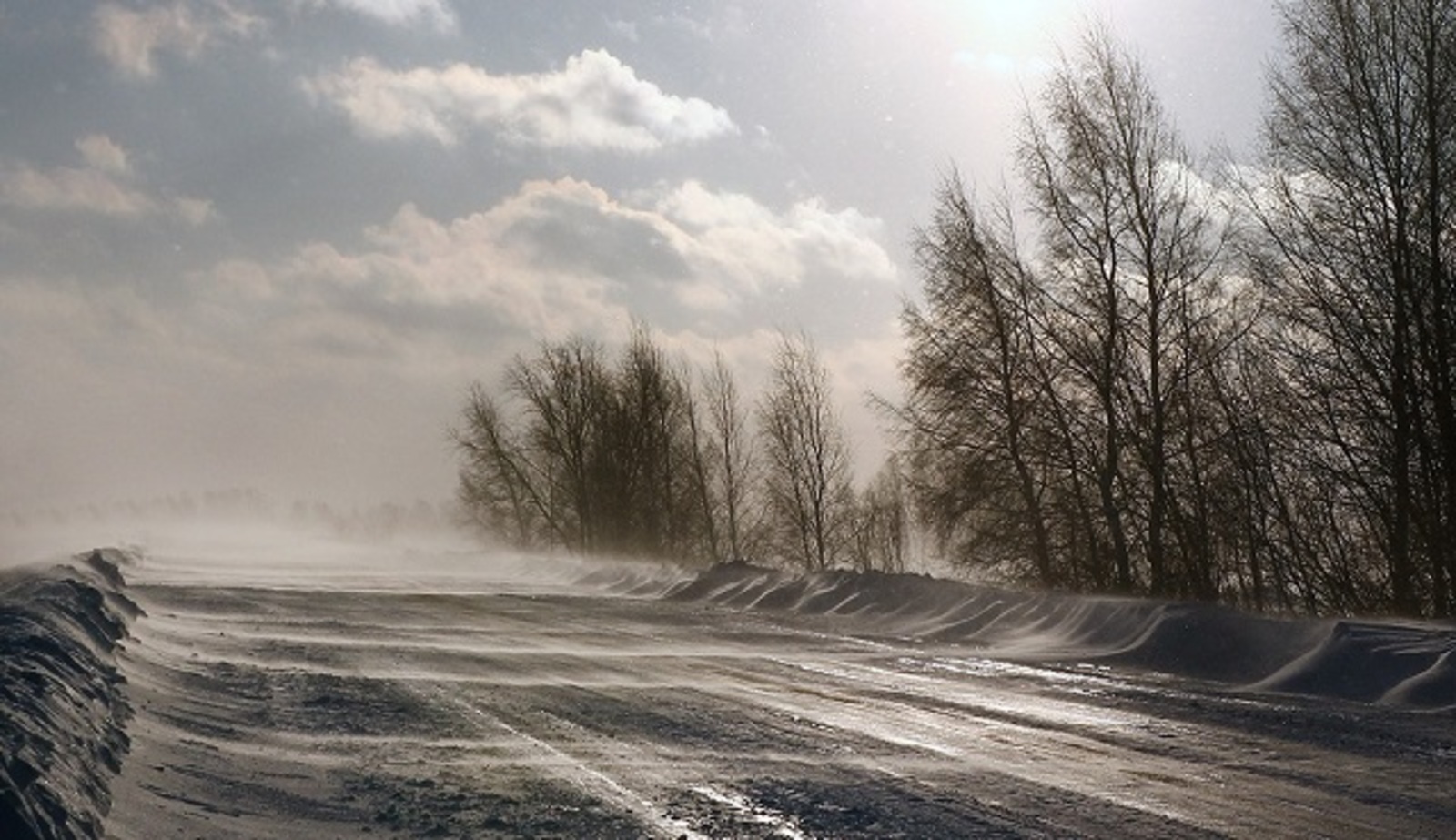 Метеопредупреждение: на территории Костромской области ожидается усиление ветра