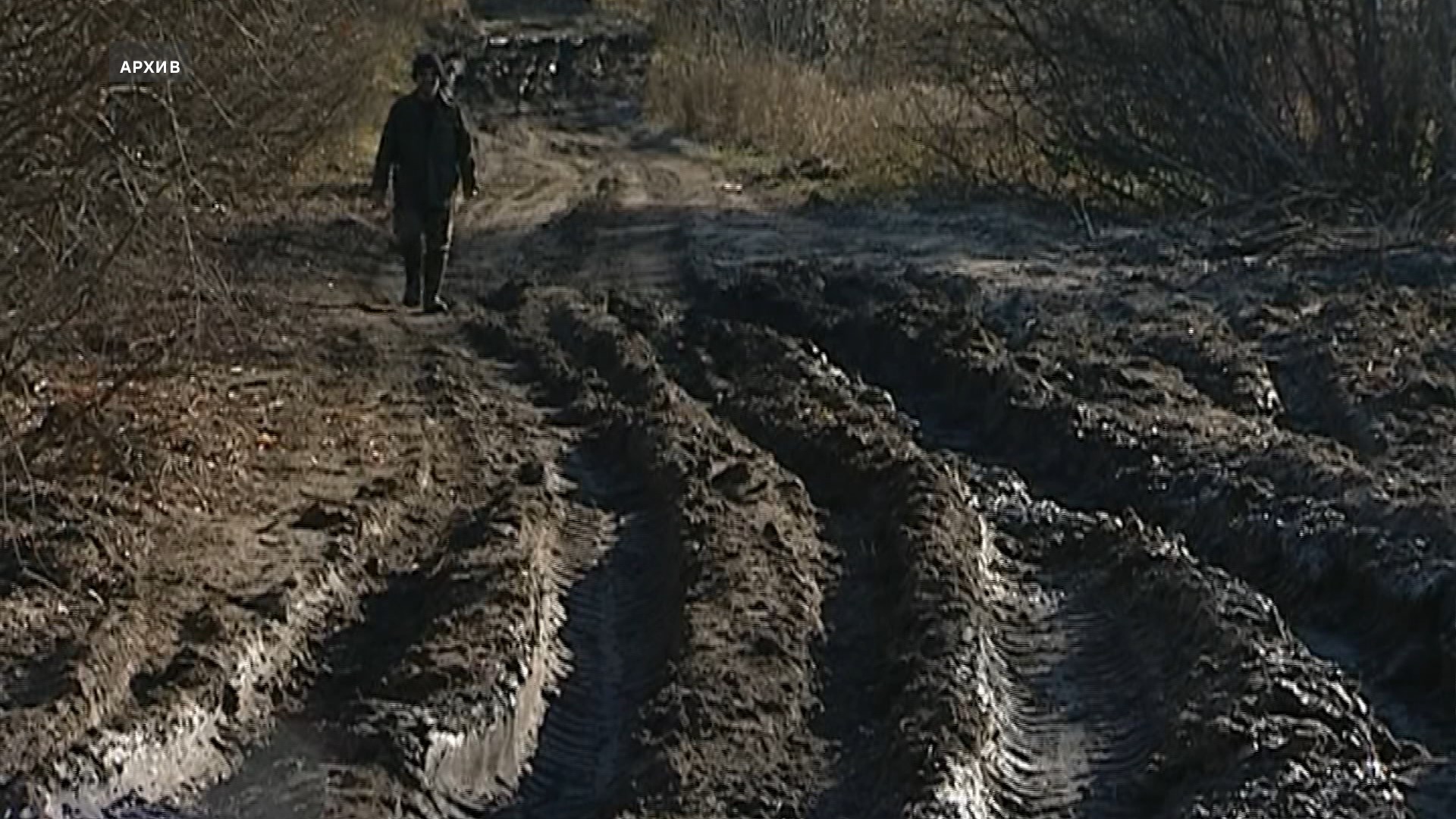В костромской глубинке восстановят дорогу к деревне, где никто не живет