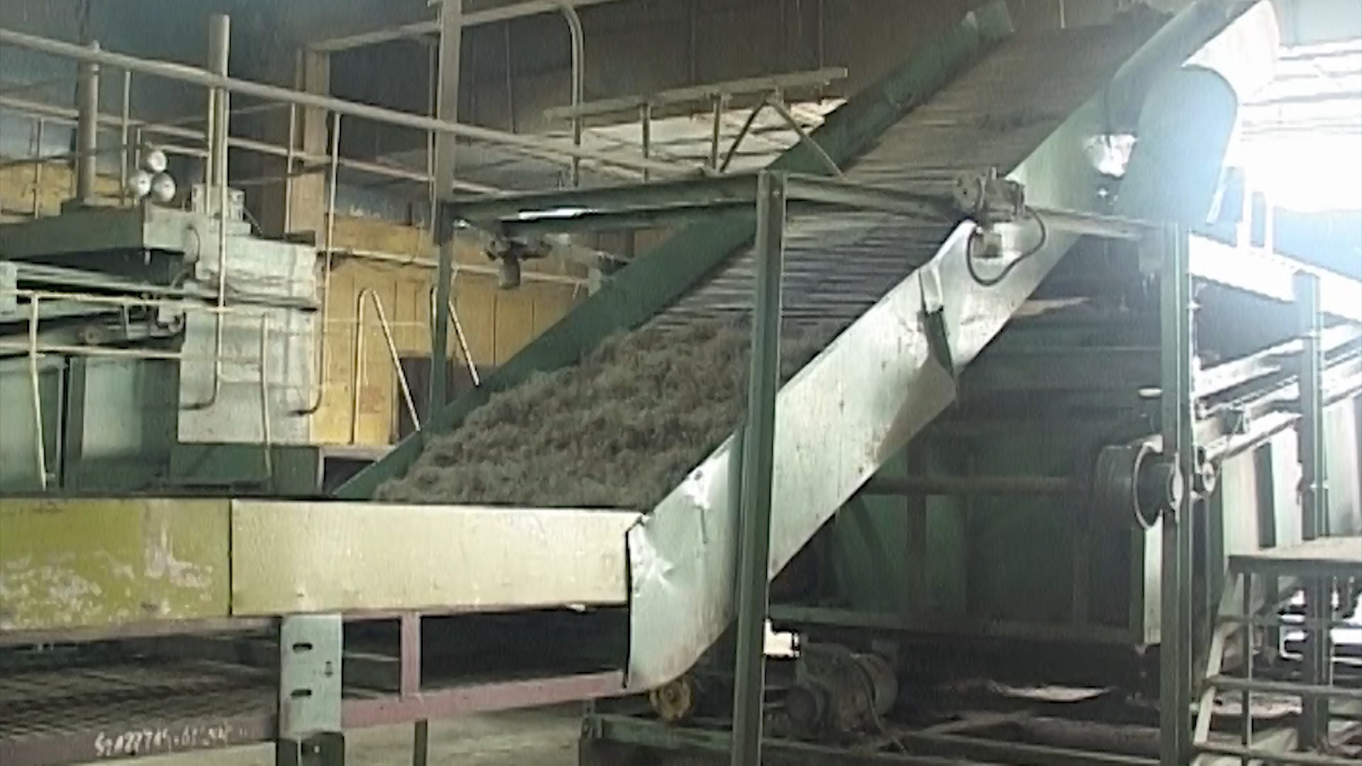 В Красносельском районе возобновится промышленная переработка льна
