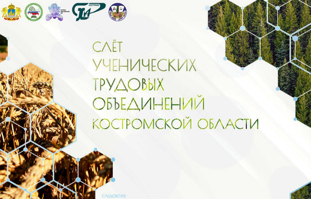 Слёт ученических трудотрядов в Костромской области проходит онлайн