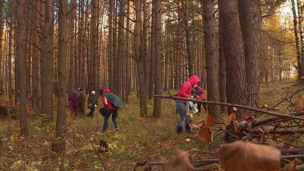 Костромские добровольцы устраивают субботники в лесу