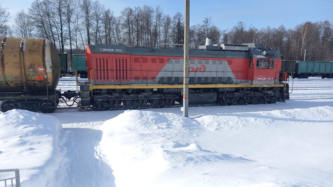 На железнодорожном переезде в Костромской области легковушка столкнулась с  грузовым поездом | ГТРК «Кострома»