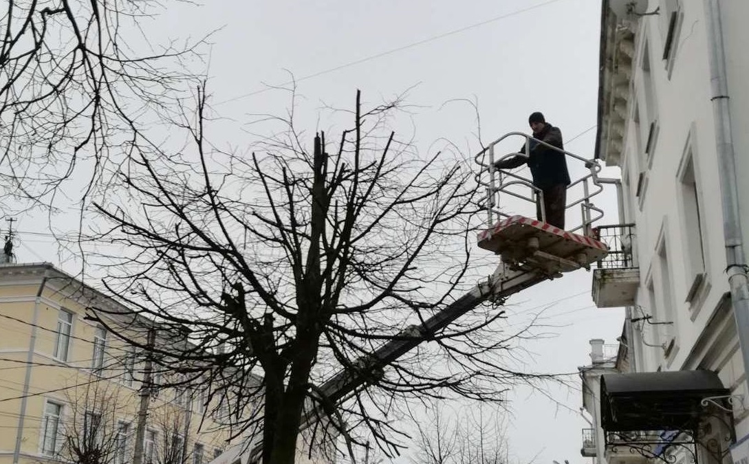 Множеству деревьев в Костроме сделают омолаживающее обрезание