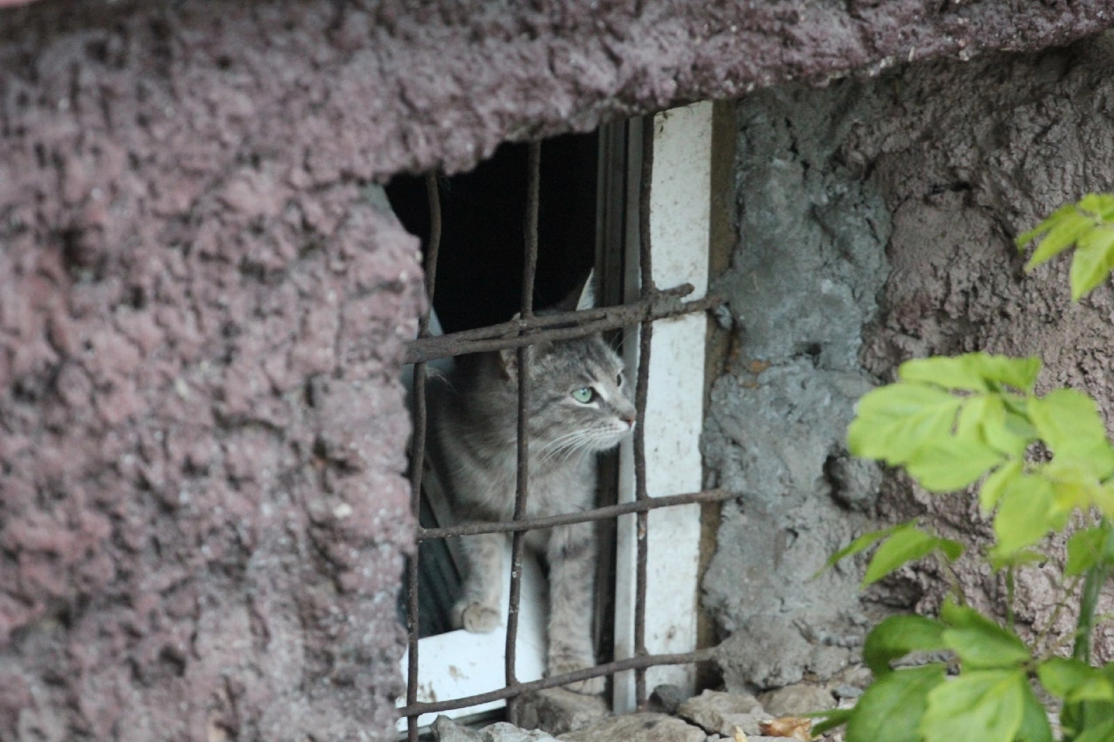 Аномально дождливые дни в Костроме заканчиваются | ГТРК «Кострома»