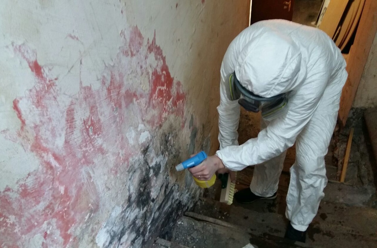 В Костроме жильцы заставили фирму-соседа почистить дом от плесени и мха