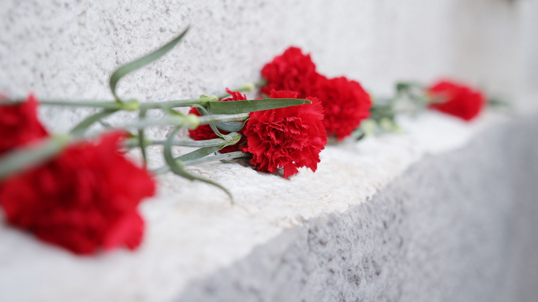 В Костроме установят мемориальную доску в честь участника Нагорно-Карабахского конфликта