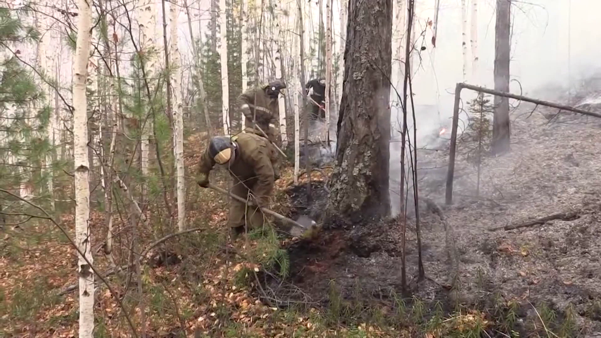 Костромские власти составили план тушения лесных пожаров