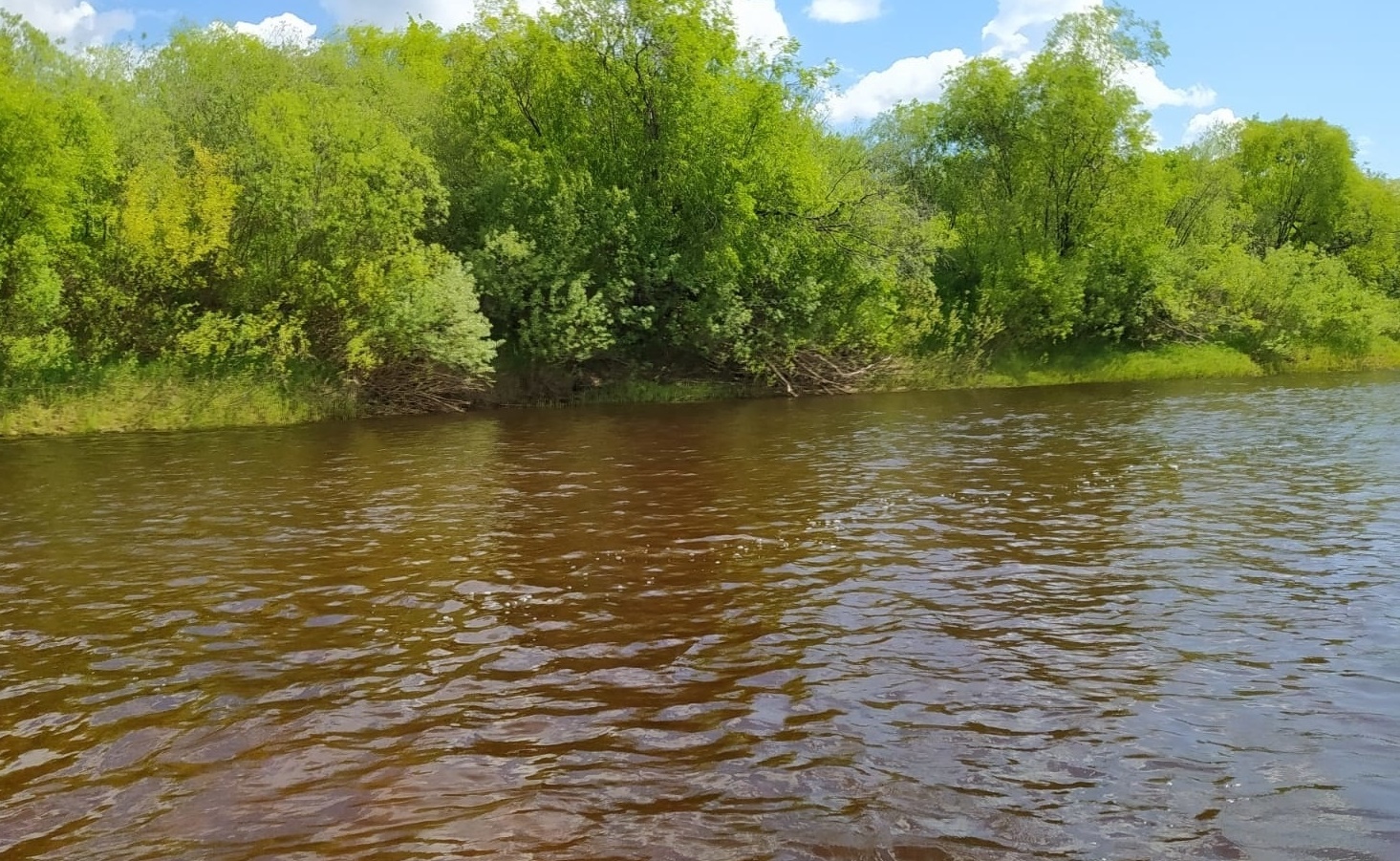 В воде костромской реки Воча найдено тело мужчины