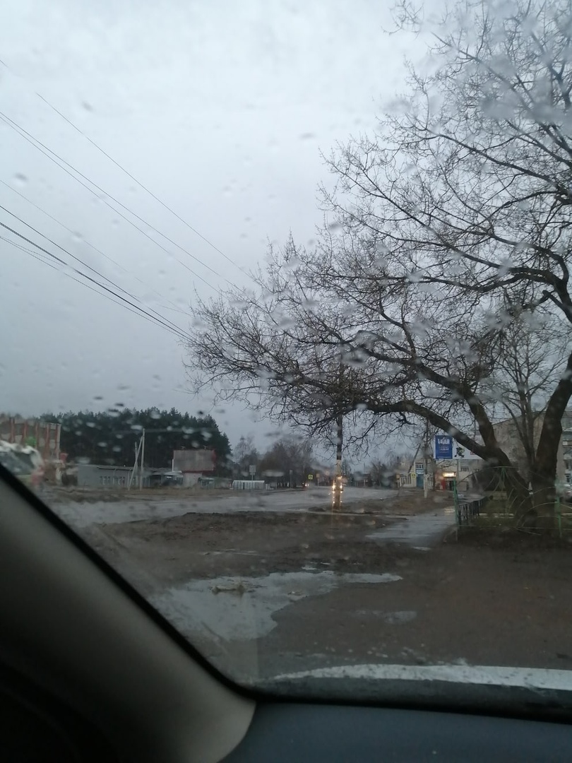 Дерево грозит костромским электросетям в Ребровке