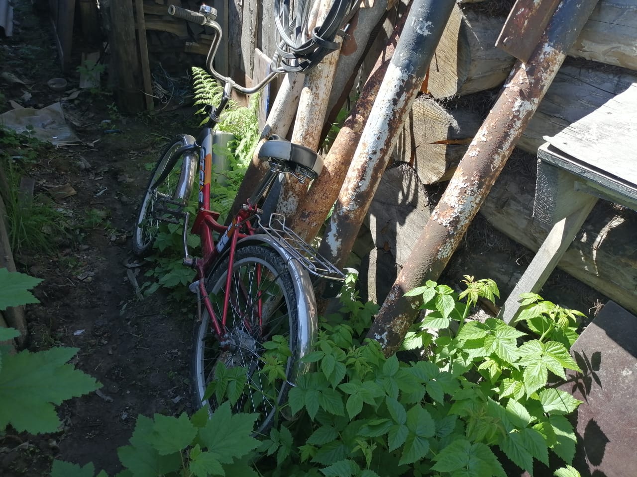 Костромская служебная собака вывела полицейских на похитителя велосипедов