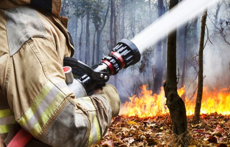 Костромичей предупреждают о высоком риске пожаров из-за жары