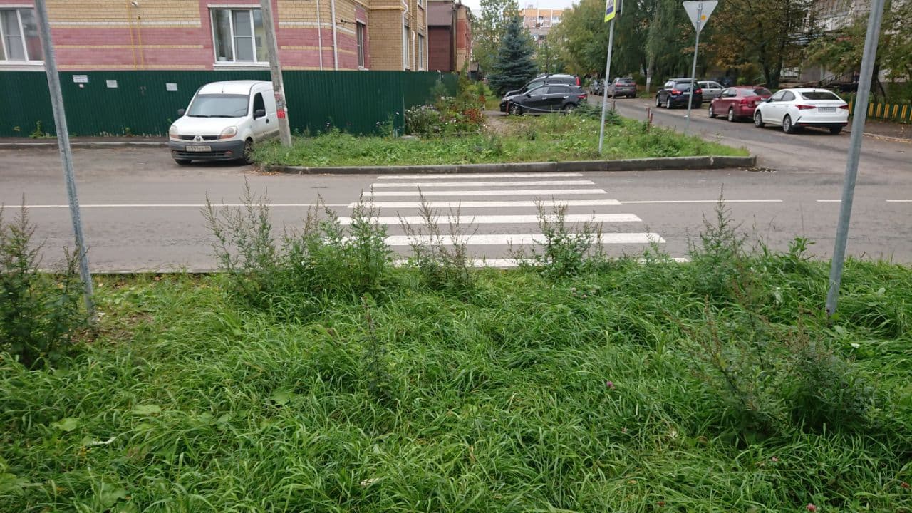 Власти Костромы пообещали исправить уходящую в траву «зебру»
