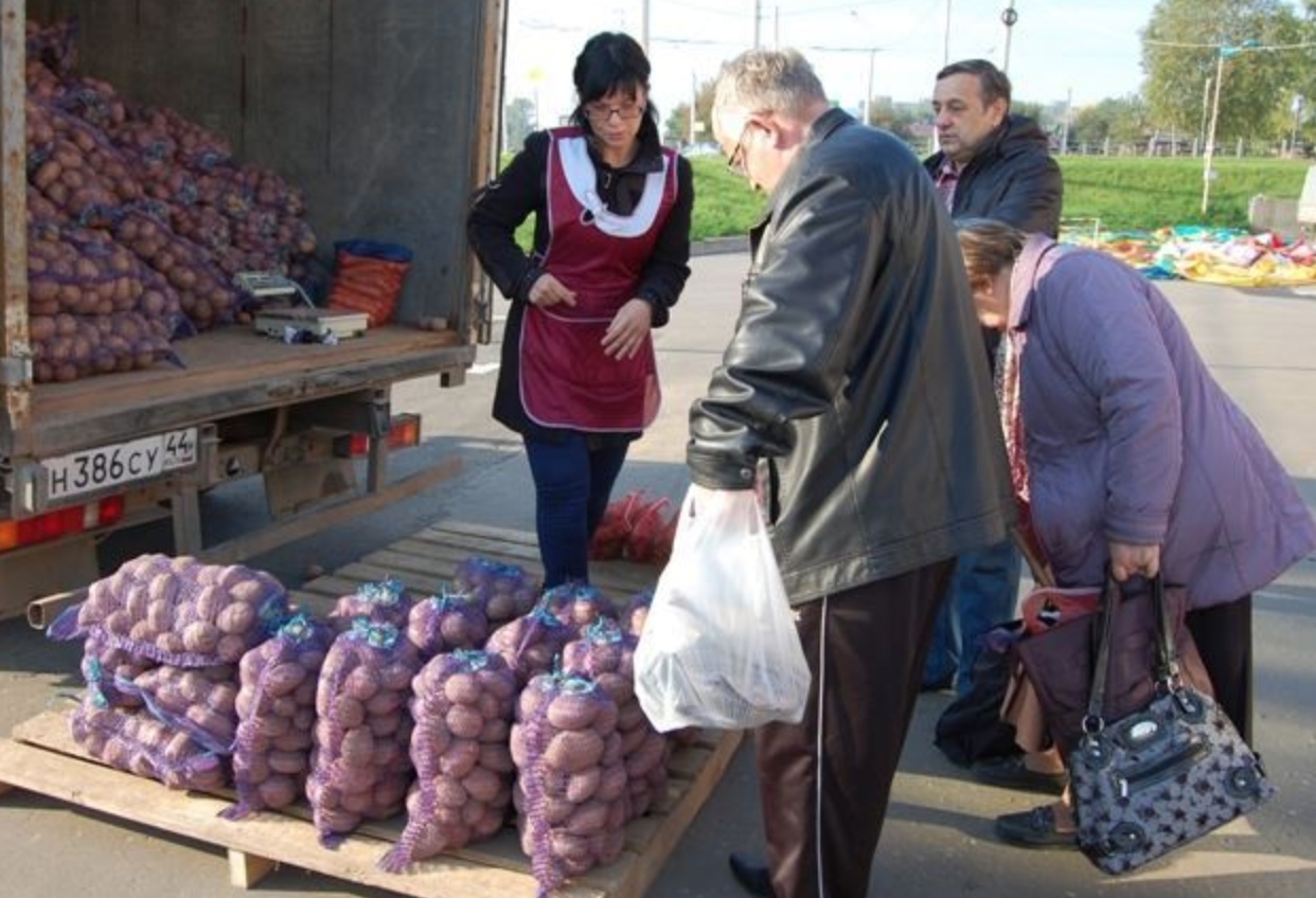 В Костроме хотят наладить прямые поставки овощей в коллективы предприятий и организаций
