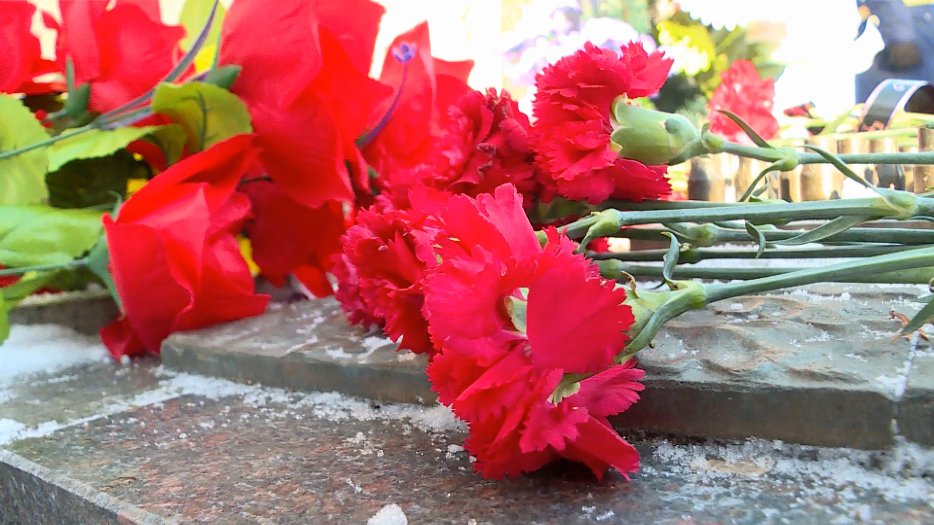 Костромичи почтут память земляков, погибших при исполнении воинского долга за пределами Отечества
