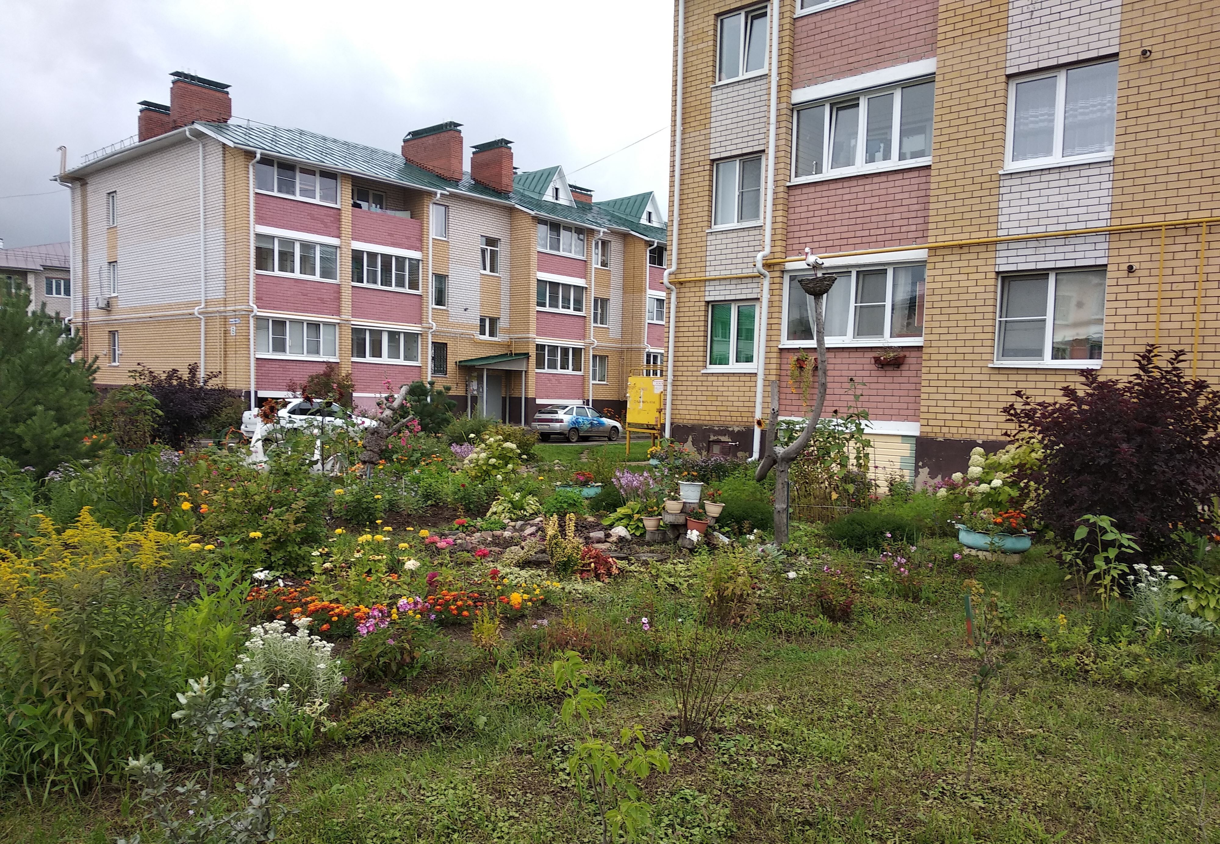 В Костроме начинается поиск уютных двориков