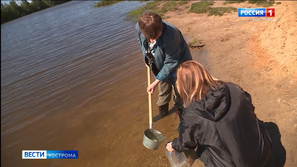 Роспотребнадзор озвучил результаты проверки воды на пляжах Костромы