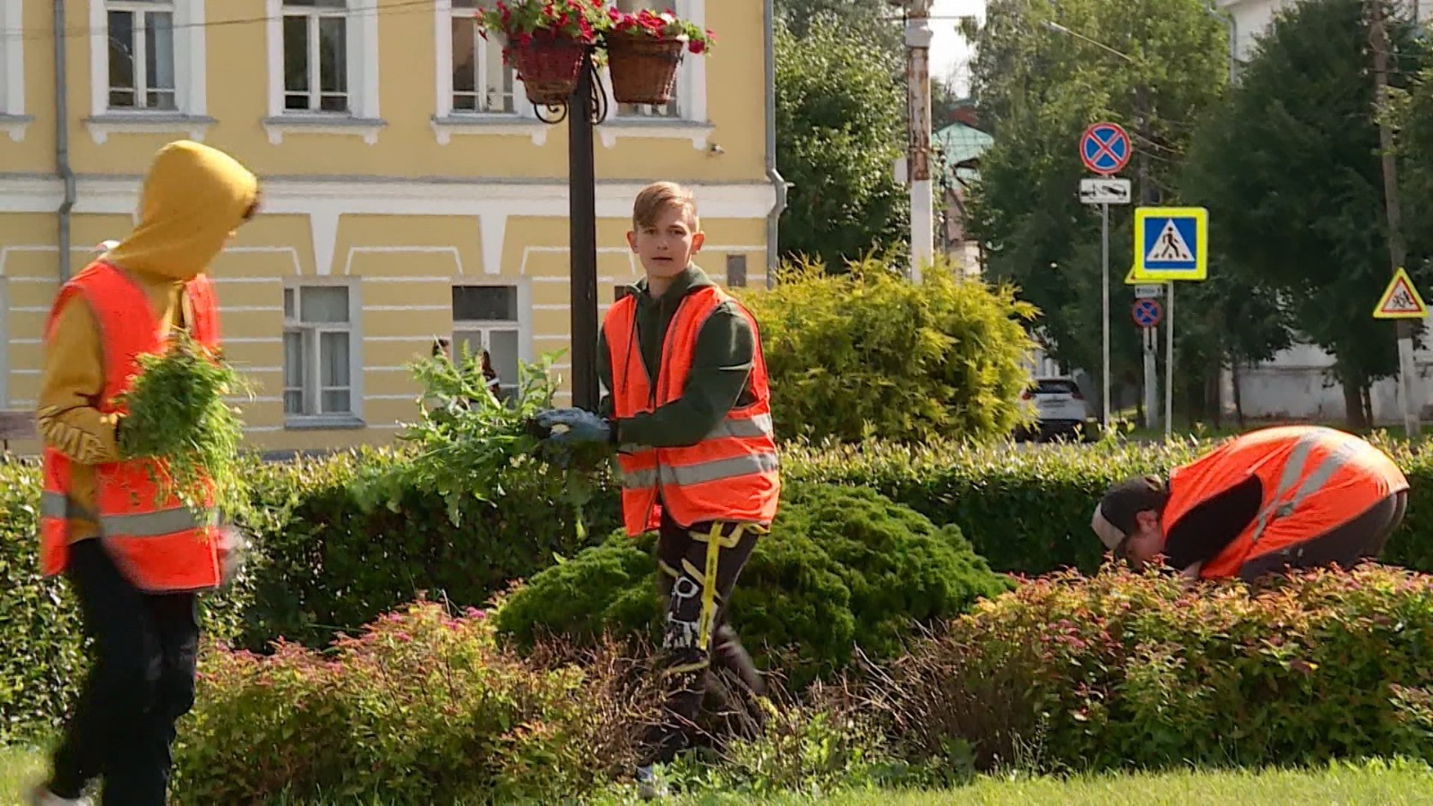 В Костроме стартует прием заявок в трудовые отряды | ГТРК «Кострома»