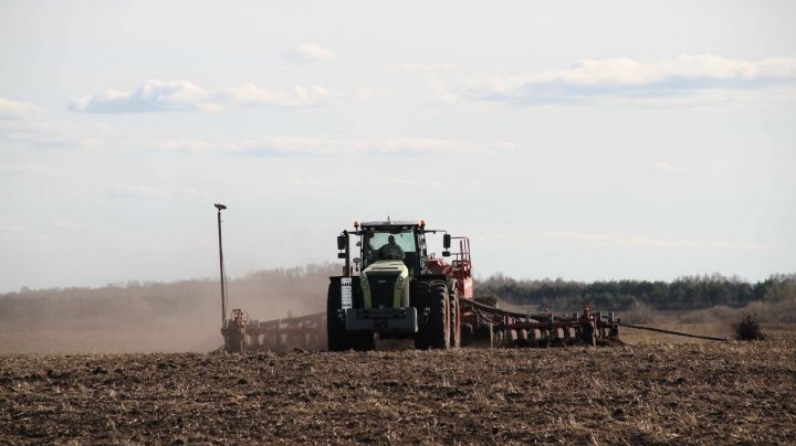 Аграрии планируют увеличить посадки в Костромской области