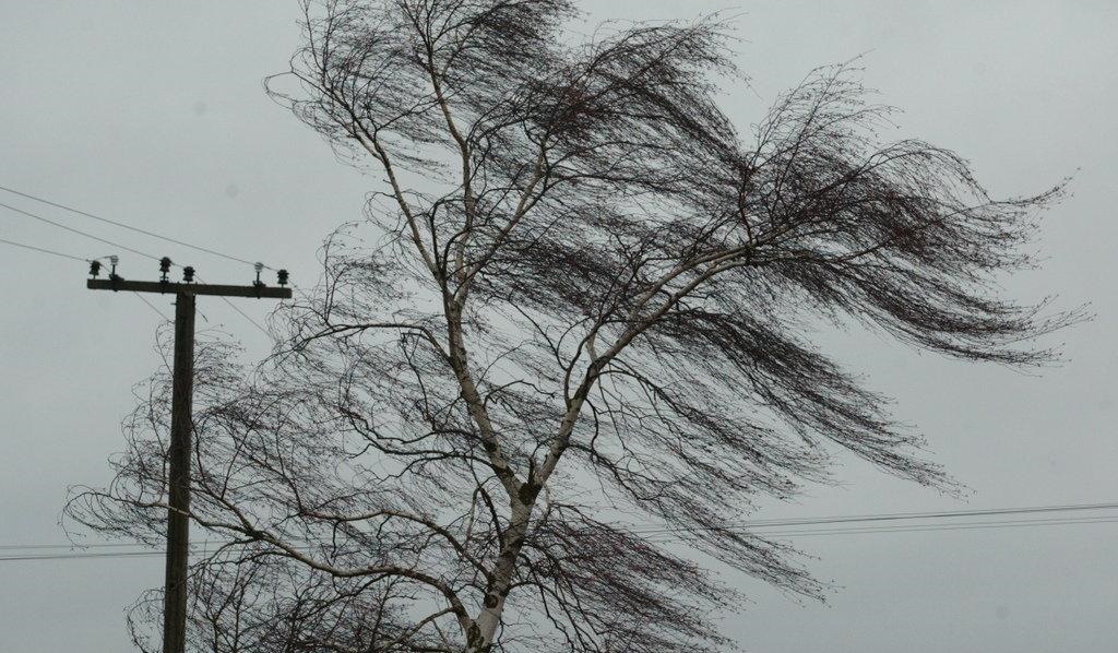 Метеопредупреждение: в Костромской области ветер усилится до 15 метров в секунду