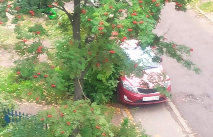 Автолюбителя в Костроме оштрафовали после публикации фото его машины в соцсети