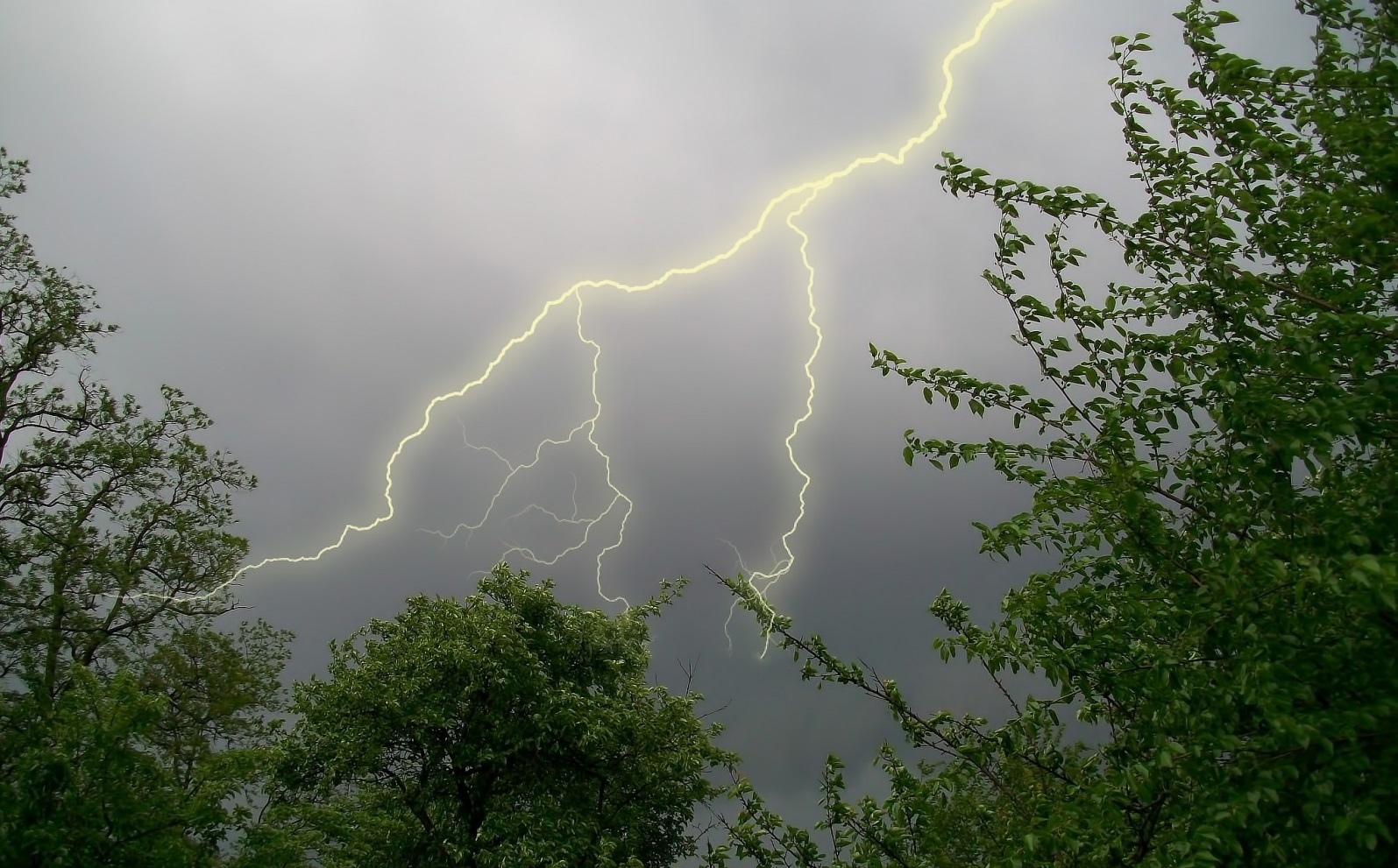 Метеопредупреждение: в Костромской области ожидается усиление ветра с дождем