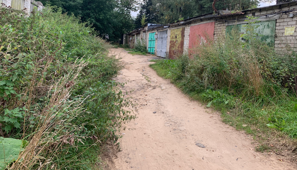 Дорога к костромской гимназии поросла метровой травой