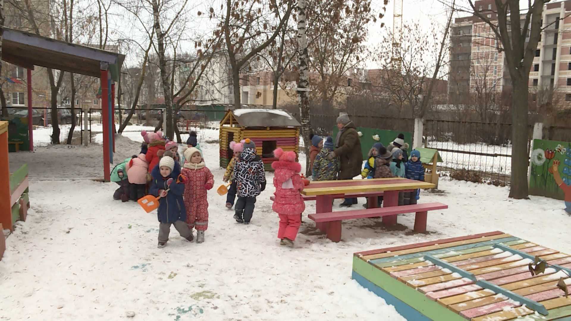 Детсады и школы Костромы избавят от опасных деревьев