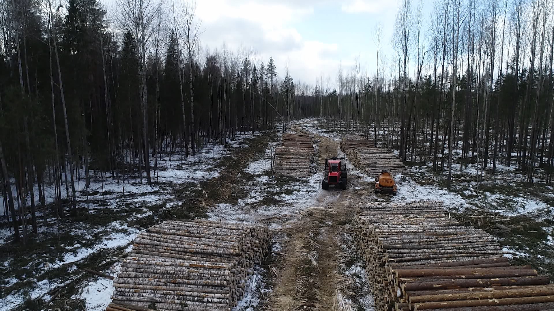 Костромская область на 58% увеличила поставки леса в российские регионы