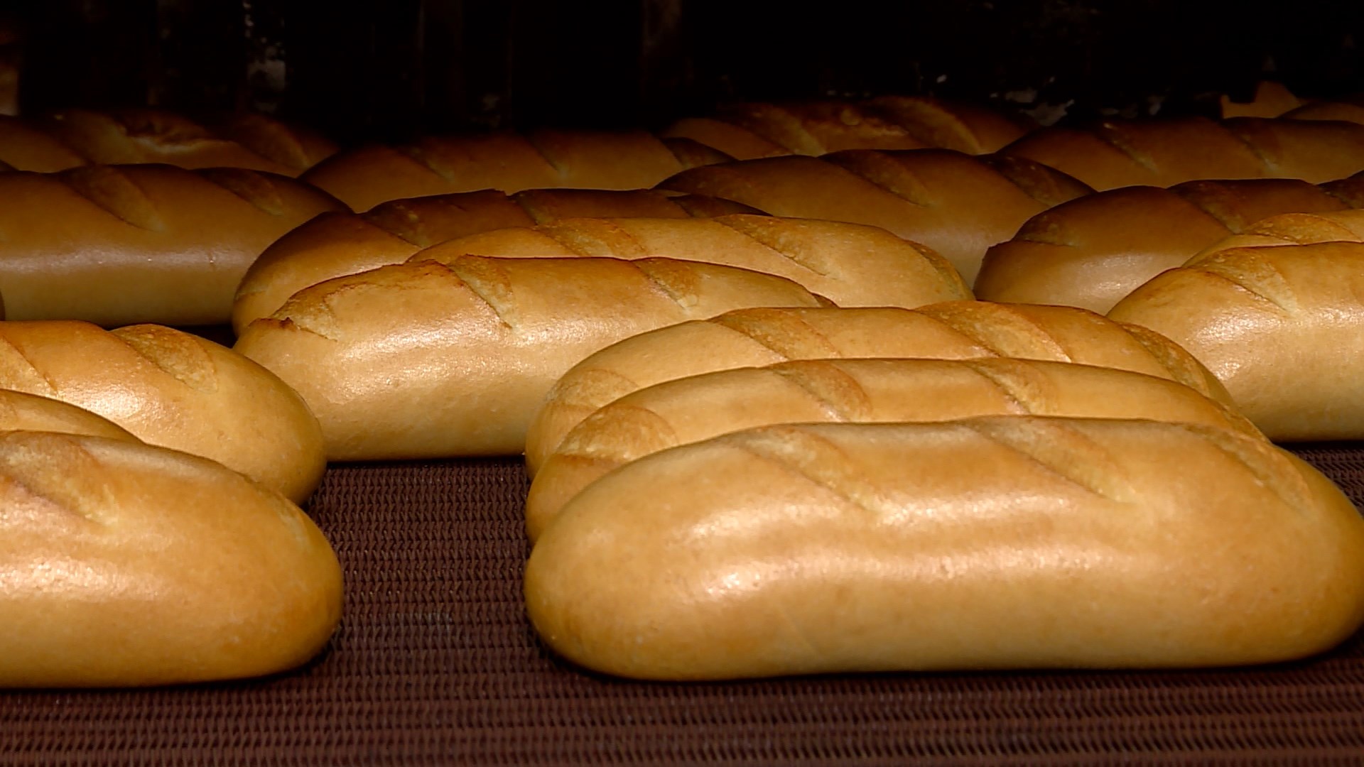 Наценка на хлеб в костромских магазинах будет минимальной