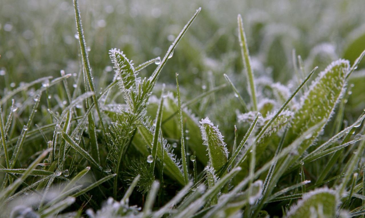 Метеопредупреждение: в Костромской области ожидаются заморозки
