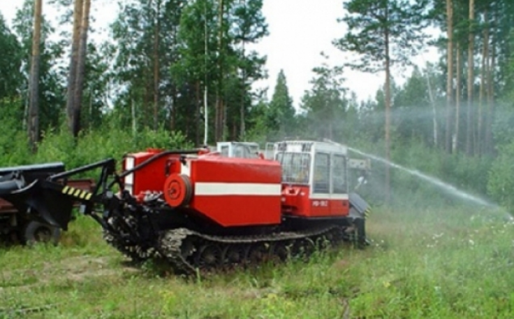 Лесной пожар в Костромской области локализован на 3,5 гектарах
