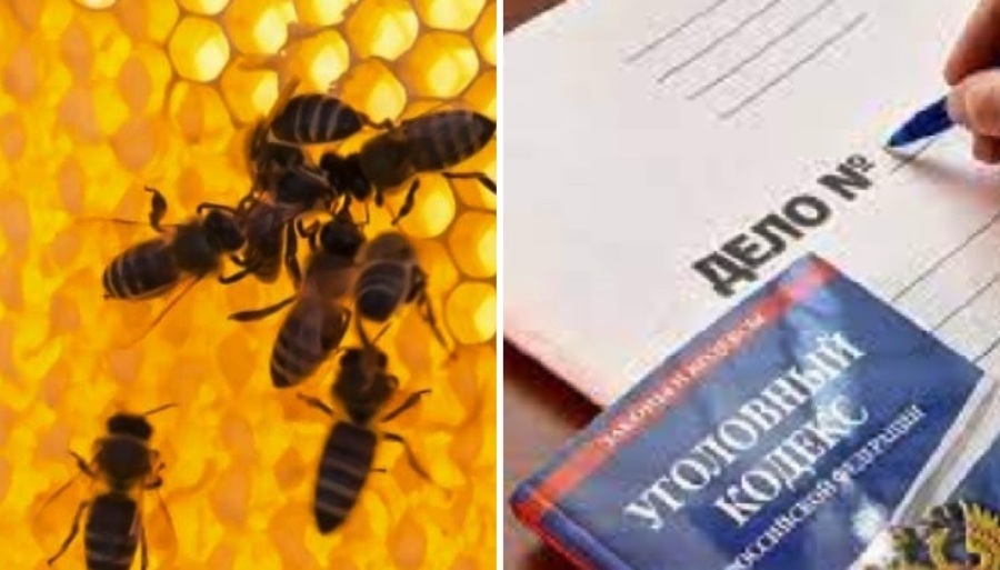 Похититель мёда из костромского райцентра рискует провести 5 лет в колонии