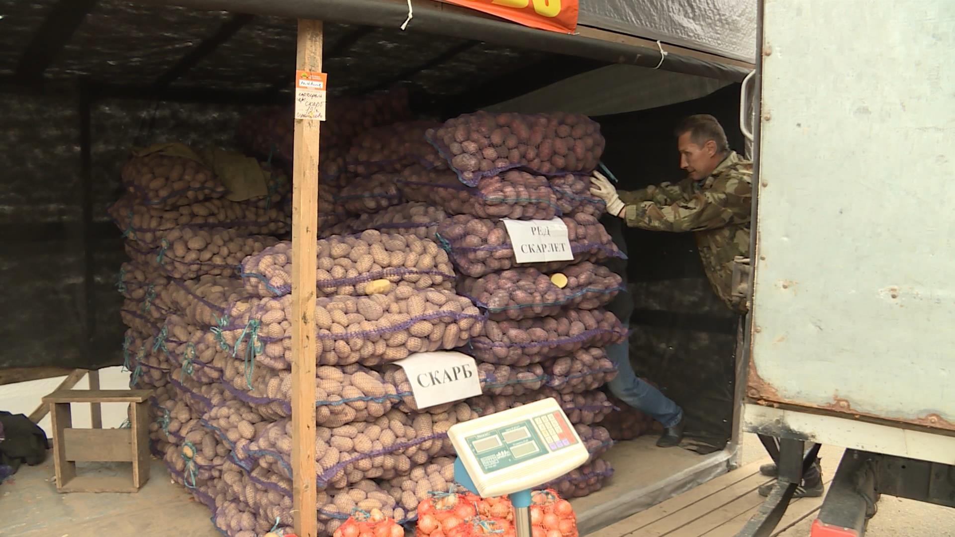 Костромская область поддержит субсидиями некоторые сельхозпредприятия 