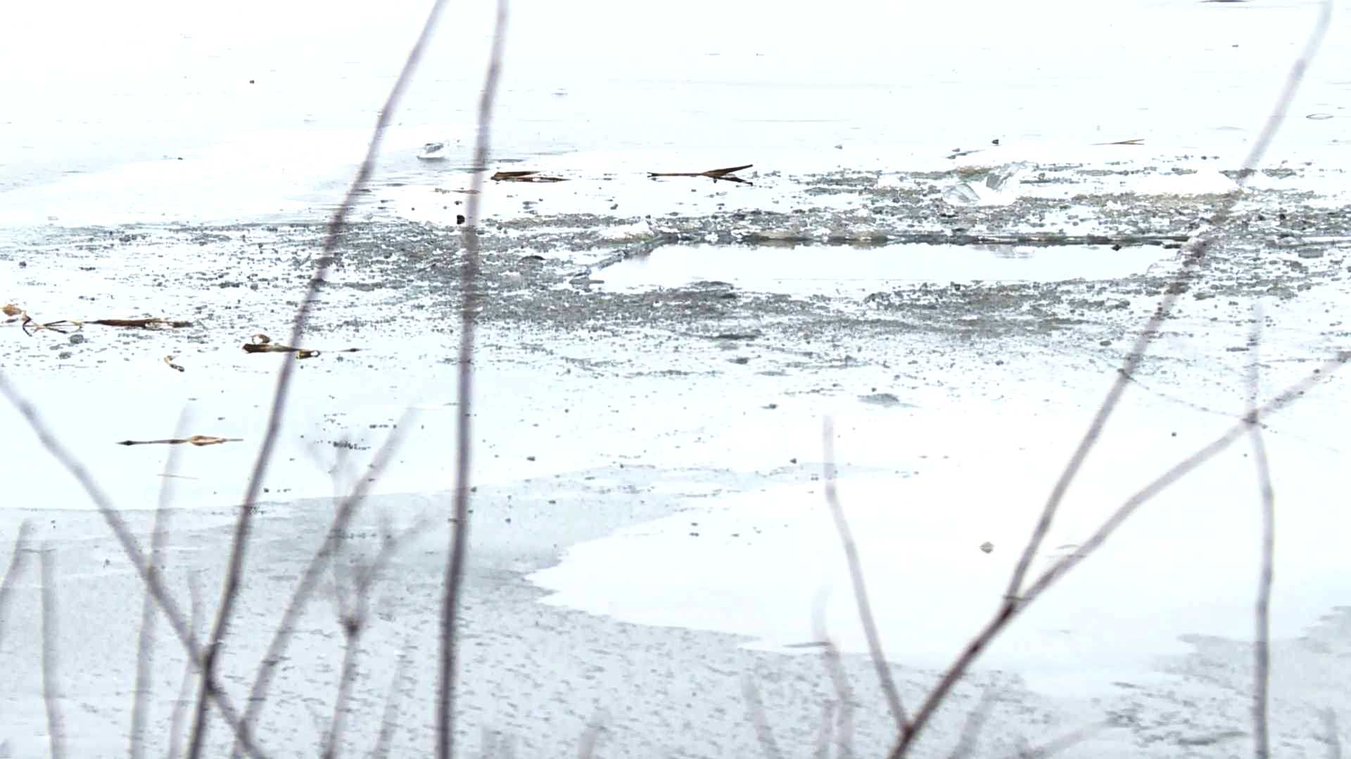 Пожилой мужчина провалился под лёд на Галичском озере