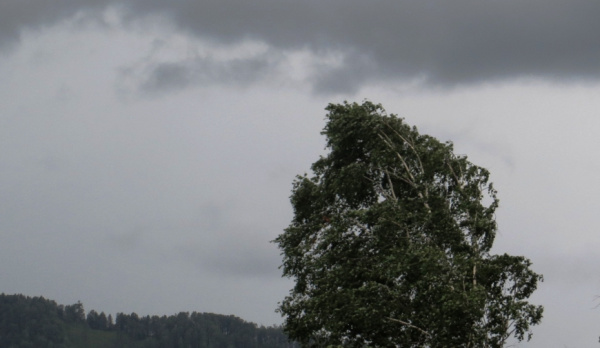 Метеопредупреждение: в Костромской области ожидается усиление ветра и гроза