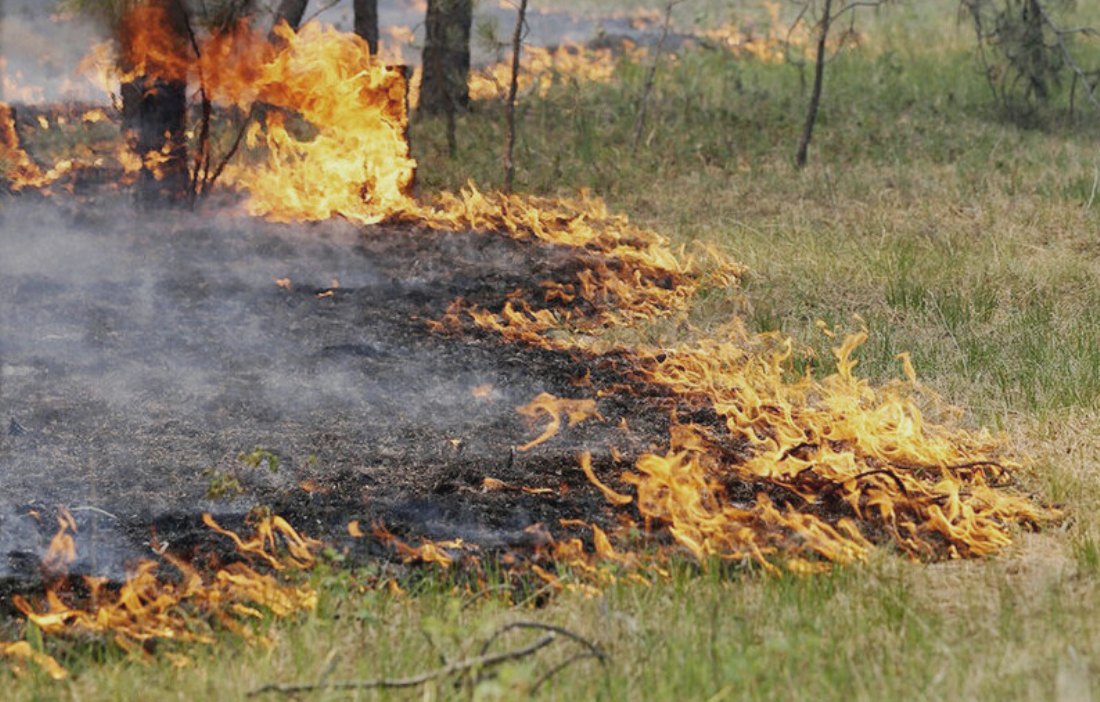 Наивысший класс пожарной опасности сохраняется в Костромской области