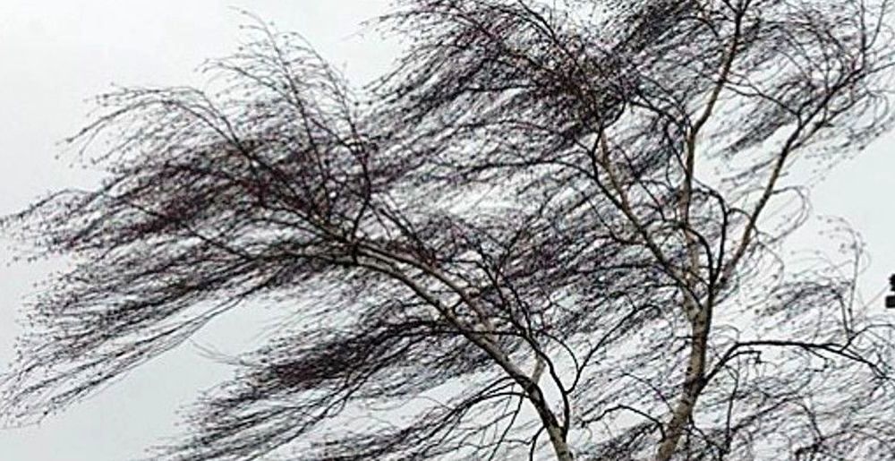 В Костромской области прогнозируется усиление ветра до 17 м/с