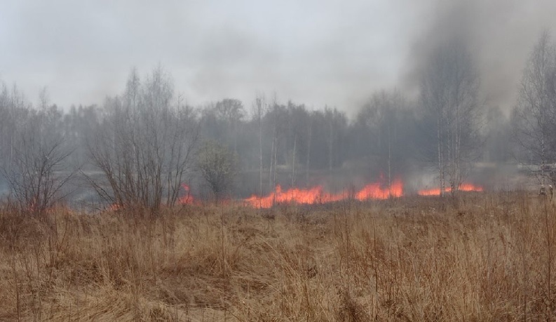 Пожарные остановили огонь на границе костромской деревни