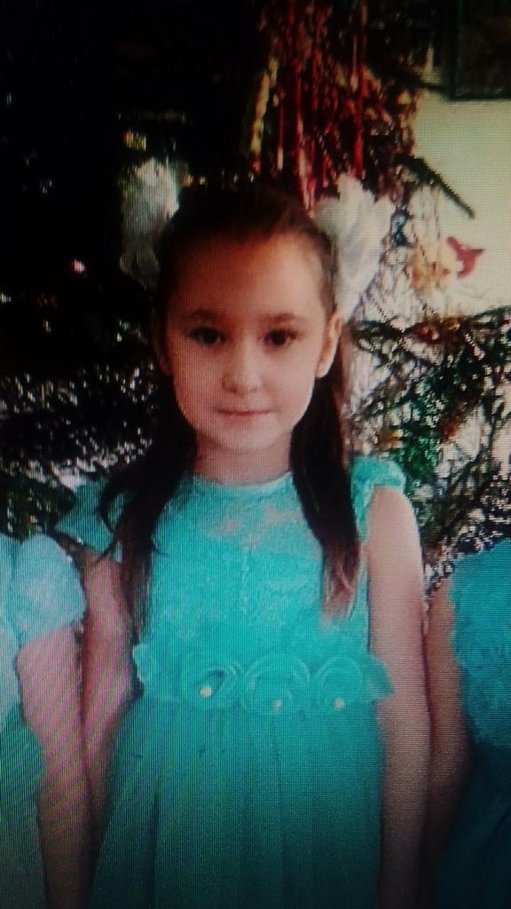 Пропавшая в Костромской области девочка могла быть похищена