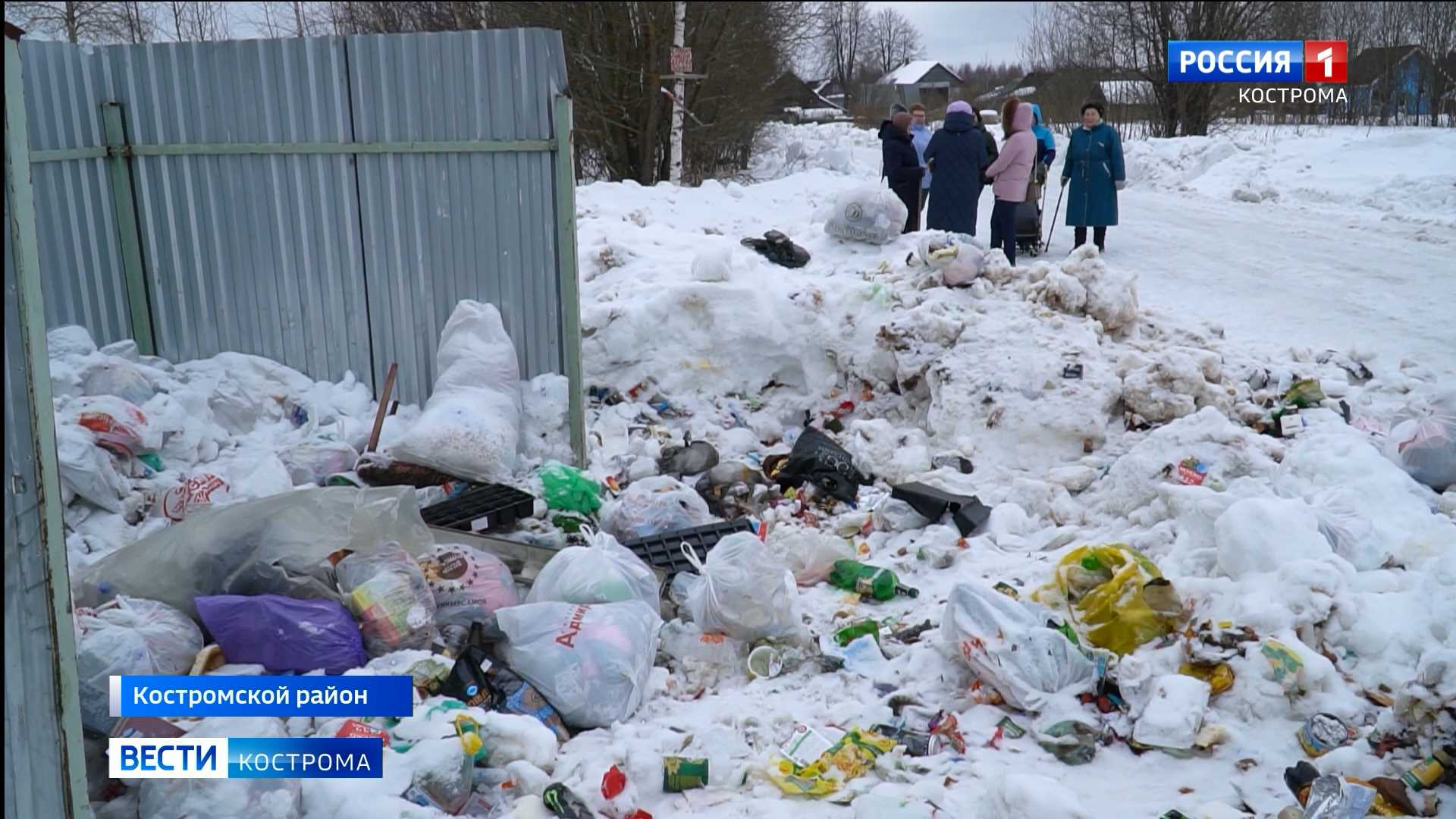 Дикие животные отъедаются на помойке у костромской деревни Песочное |  19.03.2021 | Кострома - БезФормата